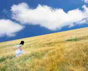 seo必‍用﻿工‍具‌